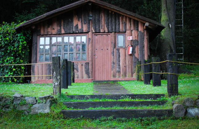 Los Vagones Cabañas Restaurante Bar - Photo 17