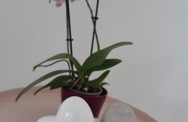 Baumann's apartment - ruhige Lage - Foto 14