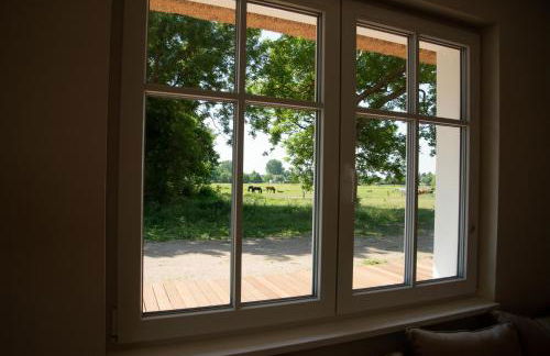 Grüne Hufe - Foto 44