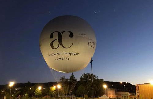 Enjoy en Champagne maison calme au milieu du vignoble avec parking gratuit - Foto 20