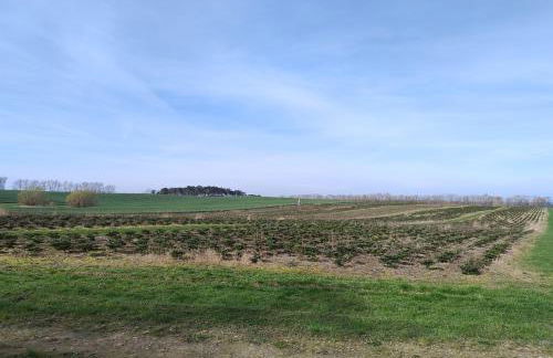 Ostseegolf - Ferienappartement - Foto 19