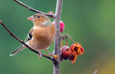 Room with a view - Photo 45