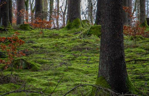 Casa Müller - Foto 26