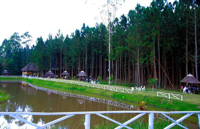 Nyungu Yamawe Forest Park - Foto 44