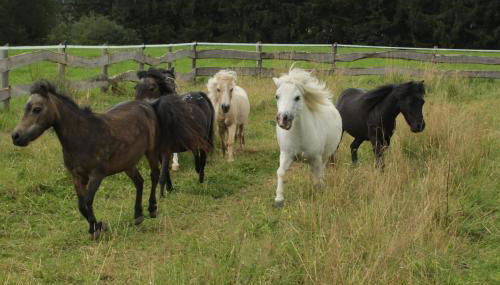 Gronewald's Mountain View Holidays - Foto 5