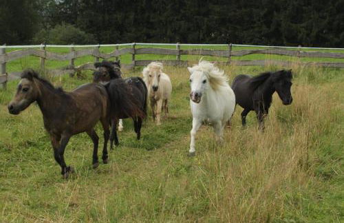 Gronewald's Mountain View Holidays - Foto 5