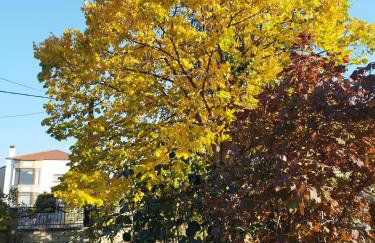 My Flowers - Foto 42