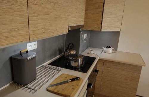 Sunny Penthouse with roof gardens overlooking the Warsaw Palace of Culture - Foto 11