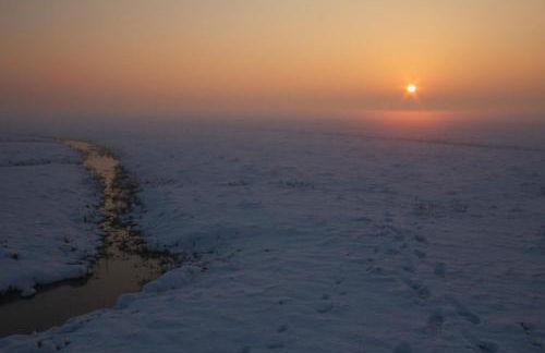 Haus Horizont - Foto 46