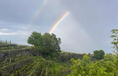 Le Case Del Merlo Turismo Rurale - Foto 124