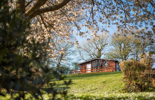 Timber Hill Self Catering Cedar Lodges - Foto 9