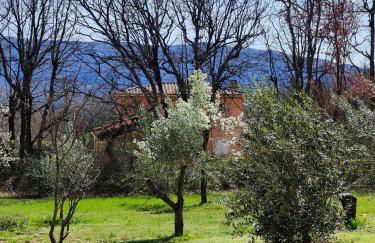 Villa Handrès - Photo 20