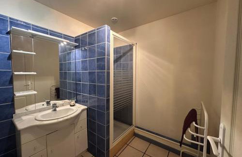 Pyrenees family T3 - Foto 18