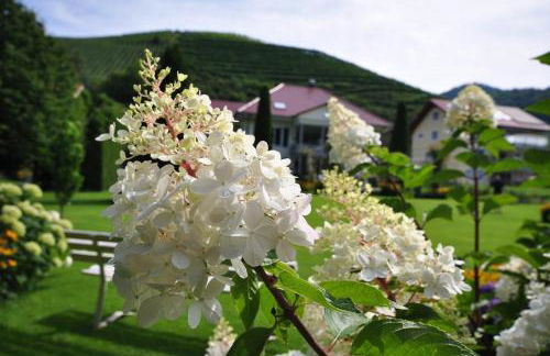 Baumanns Landhaus Durbach - Foto 59