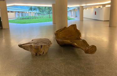 DNA UBATUBA - Foto 24