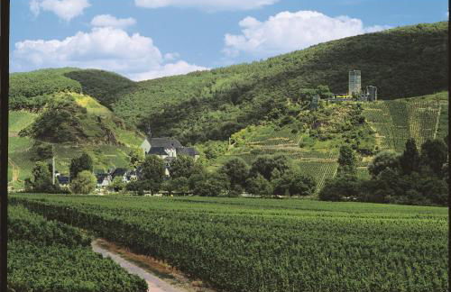 Ferienweingut Pies Ellenz-Poltersdorf - Foto 16