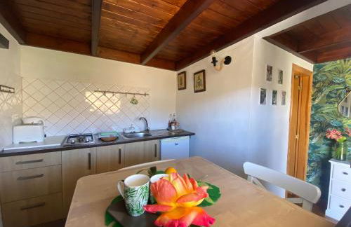 Juncalillo House - Foto 19