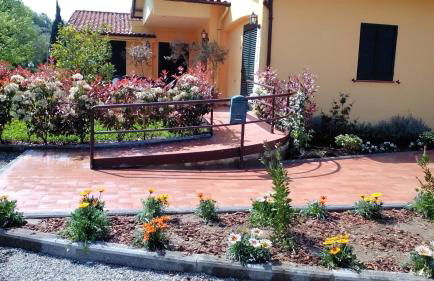 Cecco di Nara - Foto 19