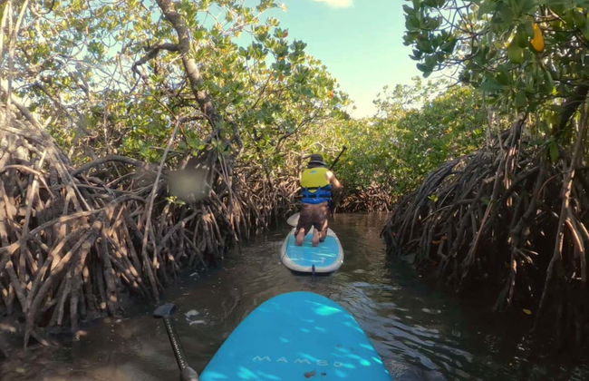 Stand Up Paddle Lesson - Foto 11