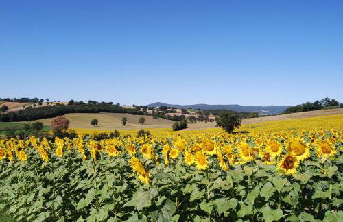 Casa Verdi Colli - Foto 28