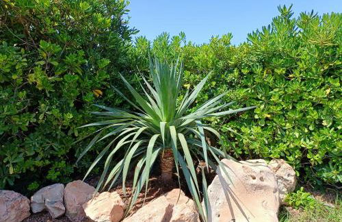 VILLA VEGA RELAX EN EL PARAISO - Foto 17