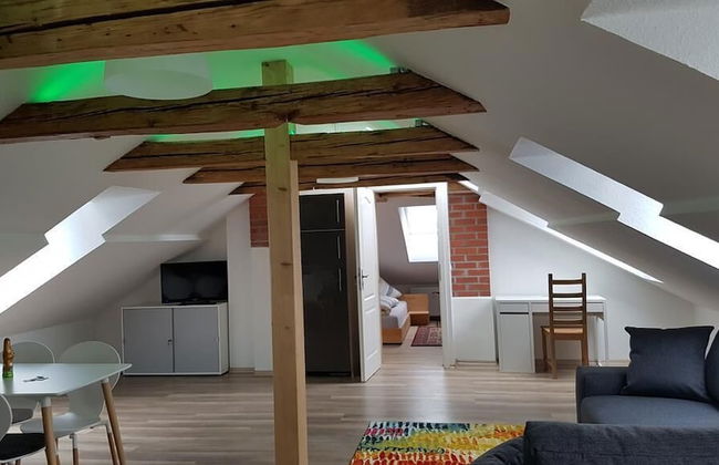 Dresdner-Tag Hermann - Foto 6