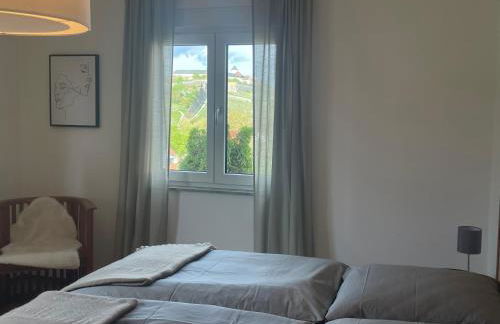 Wohnen im Leistengrund Würzburg - Foto 8