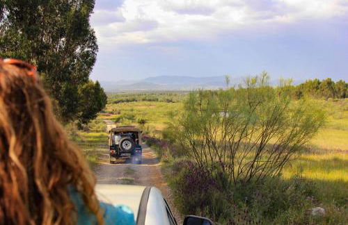 Herdade dos Abegões - Foto 9
