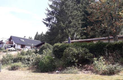 Ferienhaus Goldisthal - Photo 16