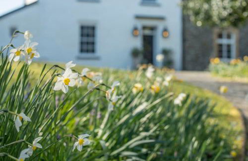 Glebe House - Foto 33