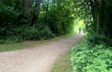 Schöne Ferienwohnungen in Oldenburg Eversten -bis zu 4 Personen 70qm- - Photo 28