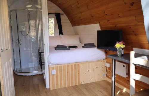 Ash Cabin with Hot Tub - Foto 13