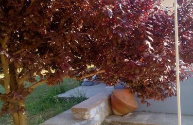 Studios ΣΤΟΥΣ ΠΥΡΓΟΥΣ ΘΕΡΜΗΣ - Foto 19