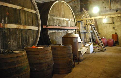 Etna Wine Azienda Agrituristica - Foto 32