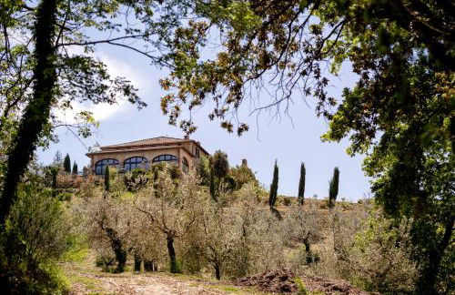 Agriturismo Poggio Degli Olivi - Guest House - Foto 26