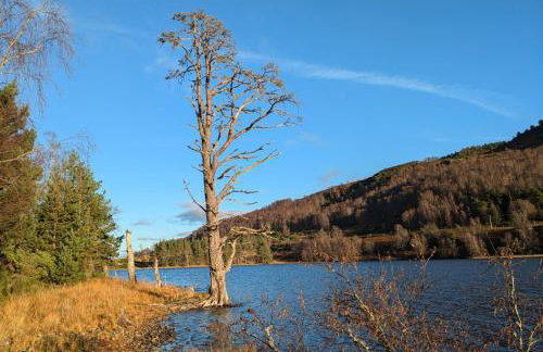 The Rowan - Foto 32