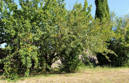 NEW! Gîtes de Charme au Mas de Soleil - Foto 73