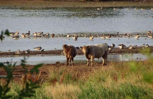 Apartment Geltinger Bucht by Interhome - Foto 27