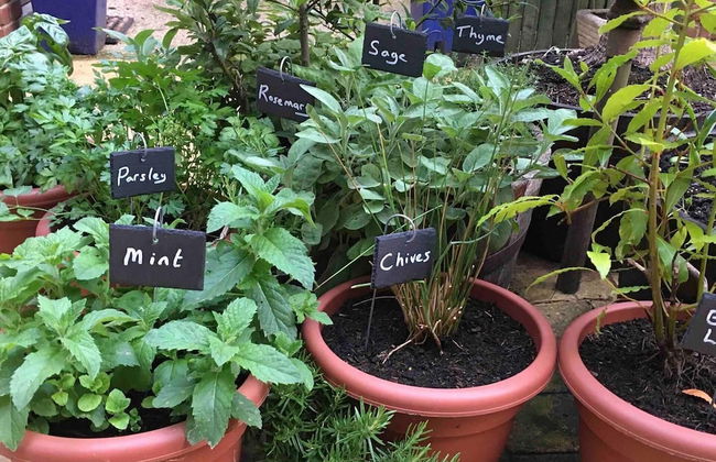 Cottage in Area of Outstanding Natural Beauty - Foto 30