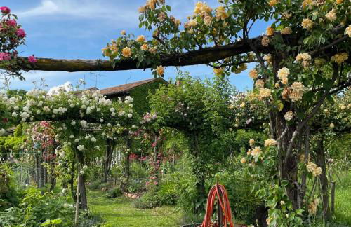 Maso Di Villa Relais di Campagna - Foto 65