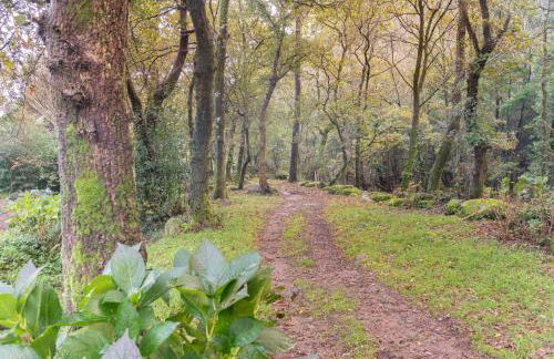 Entre Os Ríos - Casa Rural y Enoturismo - Foto 47