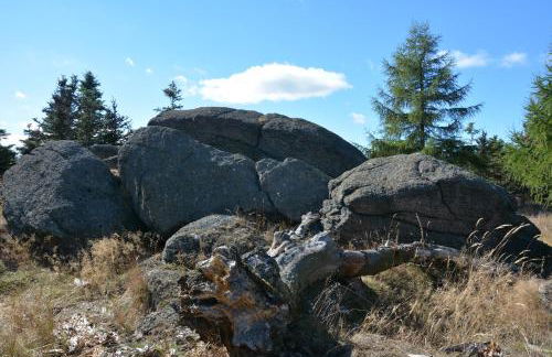 Verlegerhaus Seiffen - Foto 50