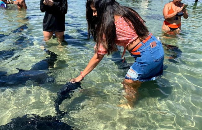 The Tambaquis Lagoon - Small Group Tour - Photo 4