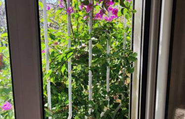 Villa Blue Flag - Foto 29