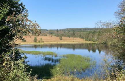 Ferienhaus Am alten Fachwerk - Foto 31