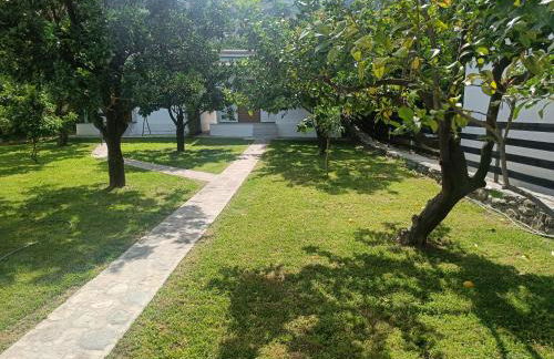 Lemongarden by the sea - Foto 24