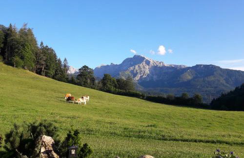 Ferienwohnungen Gästehaus Lärcheck - Foto 10