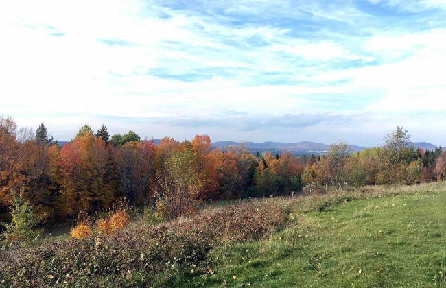 Relaxing Nature Retreat Perfect for Large Groups - Foto 54