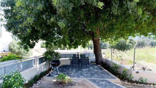 Seraina House - Photo 2, Garden