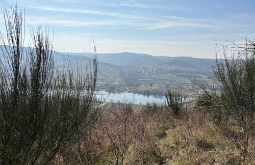 Panorama-Auszeit in Trierweiler - Foto 35